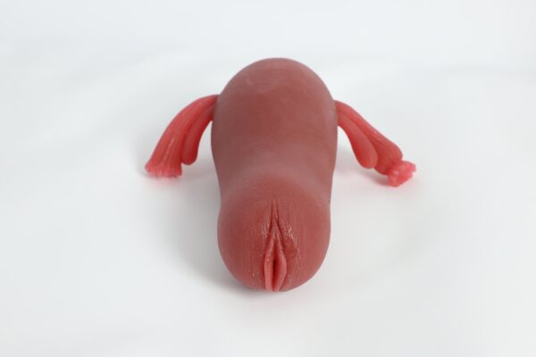 Adult sex toy masturbator fantasy