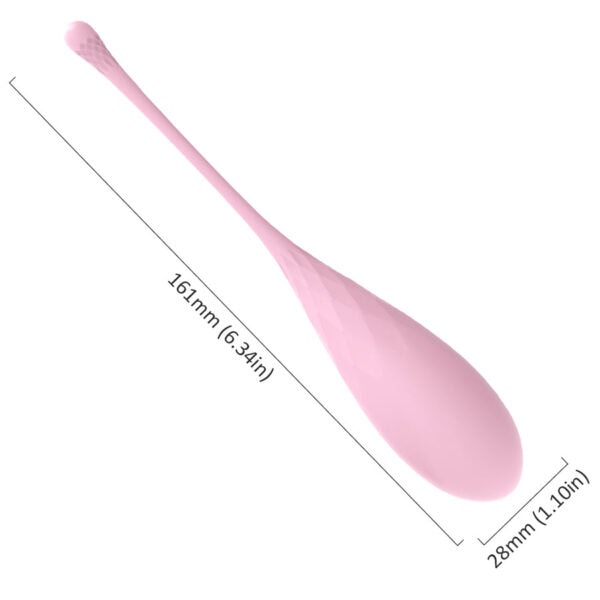 Egg kegel ball 7