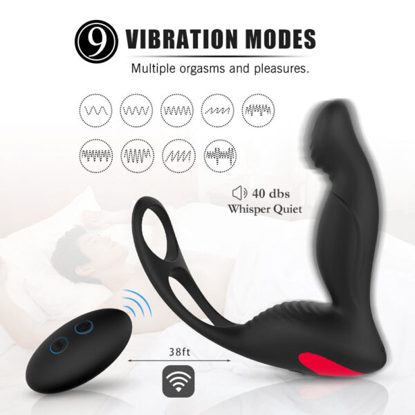 Langer cock ring butt plug 1