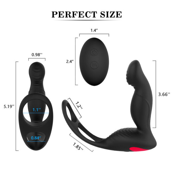 Langer cock ring butt plug 4
