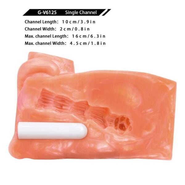 Orange cat animal masturbator 1