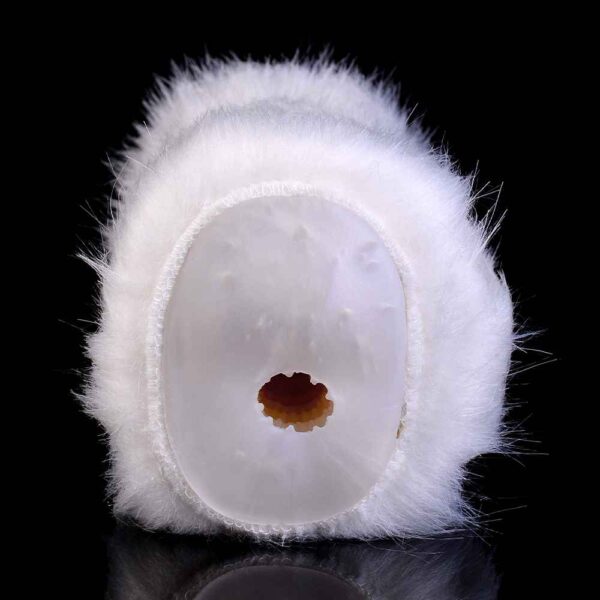 Furry sheep animal masturbator 4